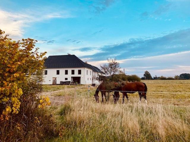 Peškův mlýn - apartmán Borovany  Exterior foto